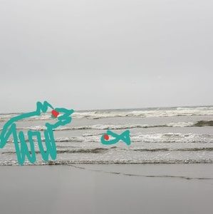 Meet your Posher, Andy